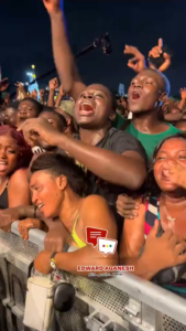 Taking Dick In Public At Concert In Ghana