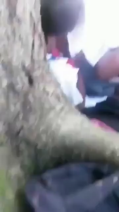 School Girl Fucked Outdoor