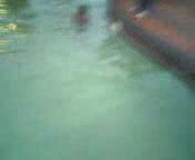 Sex in a pool